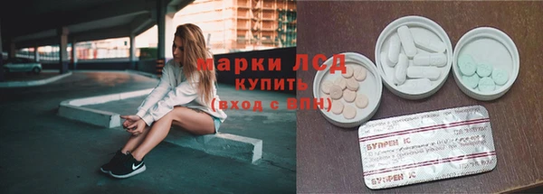 мяу мяу мука Баксан