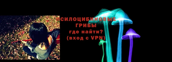 мяу мяу мука Баксан