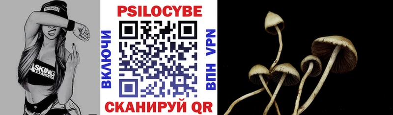 купить   Белокуриха  Псилоцибиновые грибы Psilocybe 